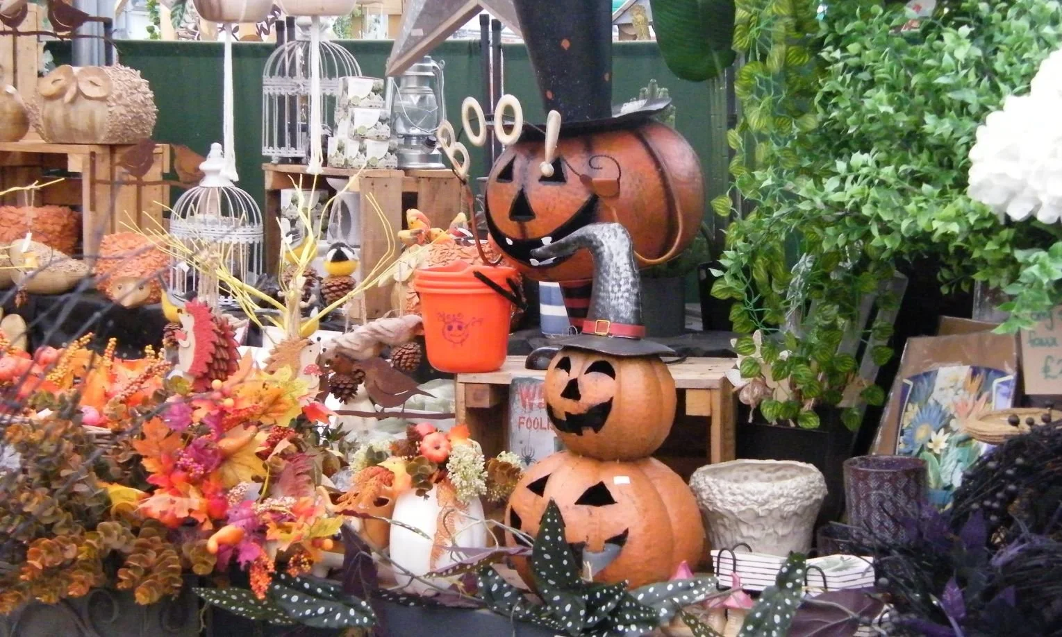 DSCF8048.jpg