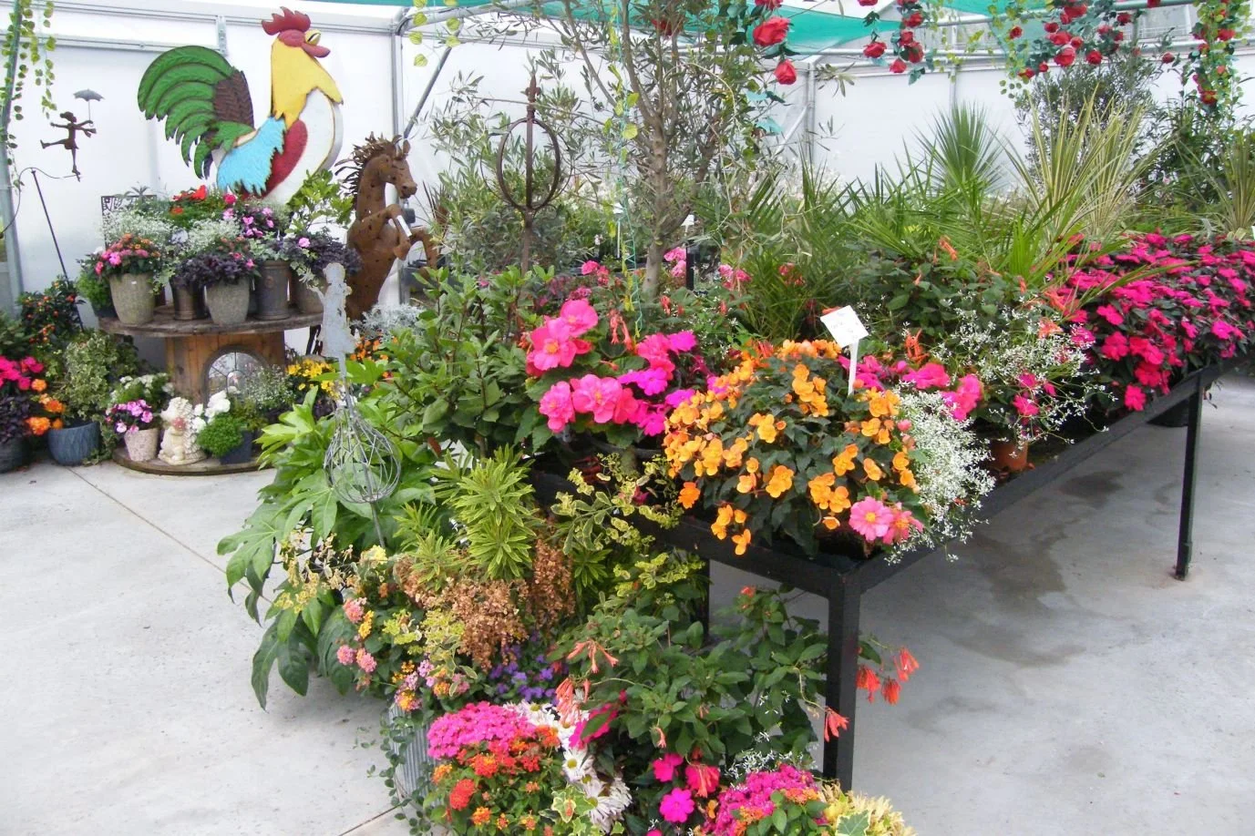 DSCF8093.jpg