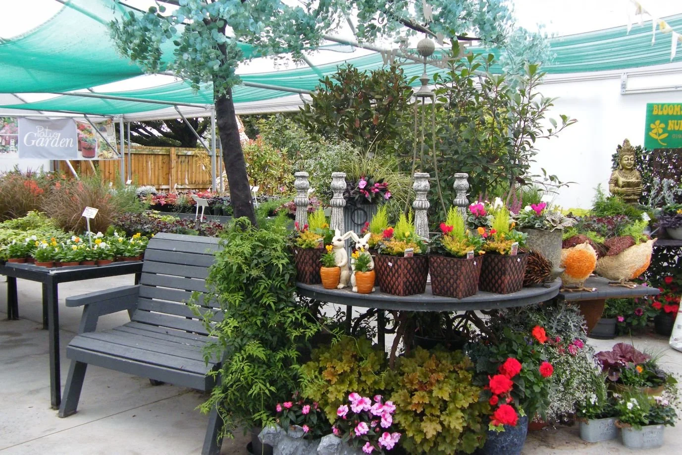 DSCF8068.jpg