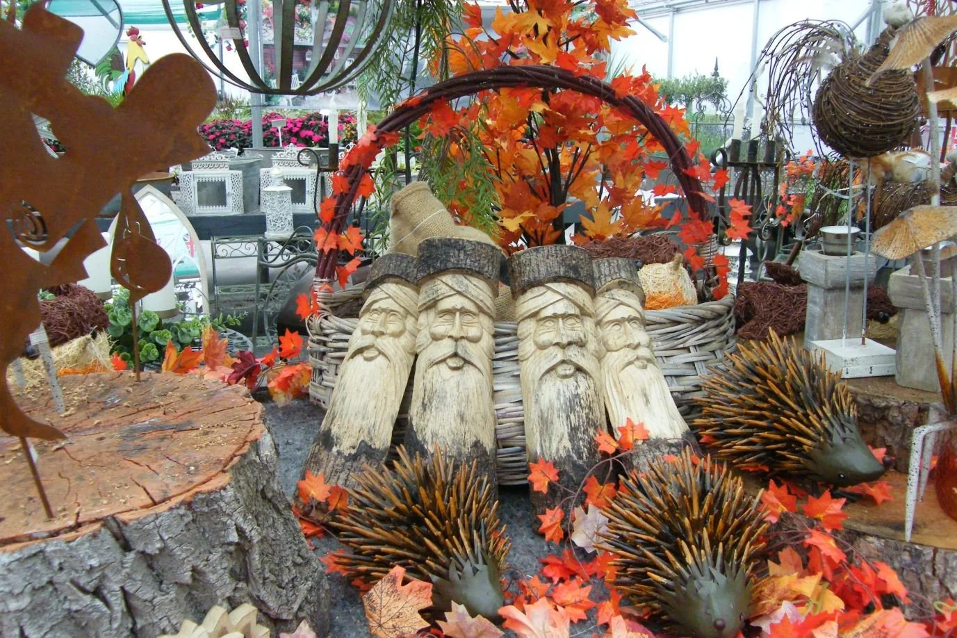 DSCF8060.jpg