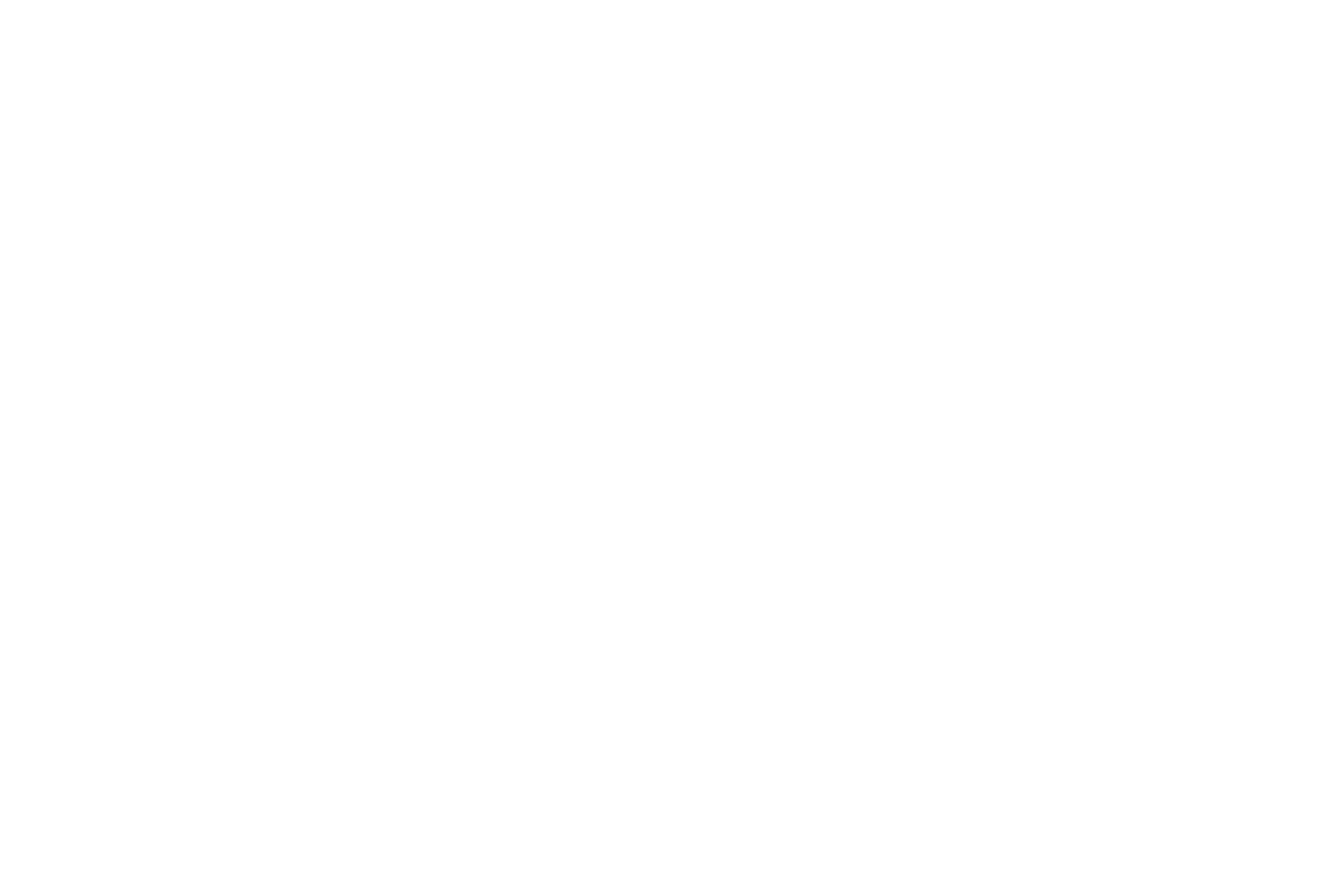 Choice Capital (Copy)