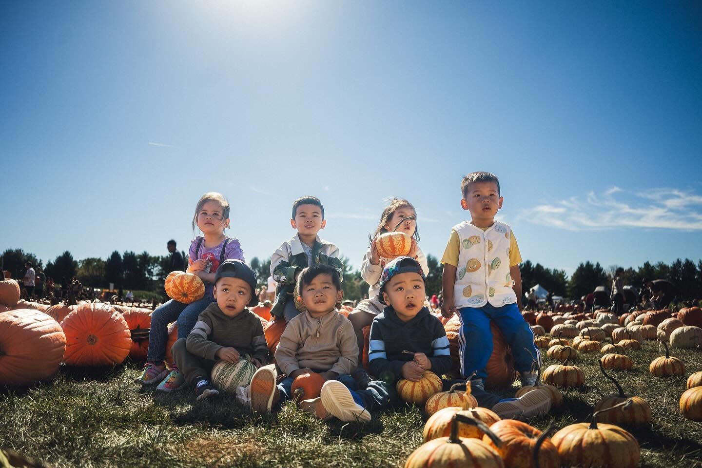 🎃 I think the kids saw a 👻. Looks how still they sat. 🎃