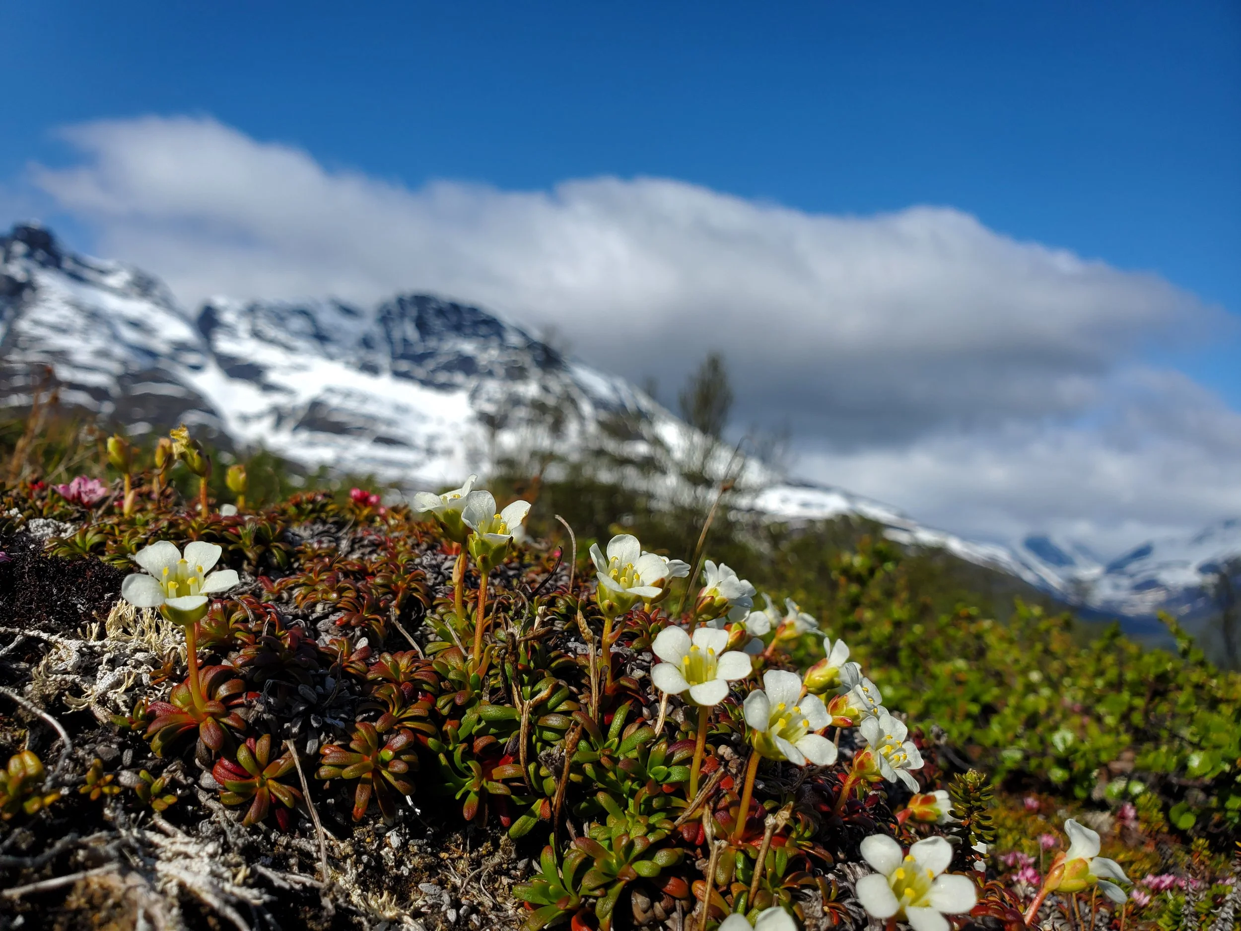 Anecdotes: The "E" Word