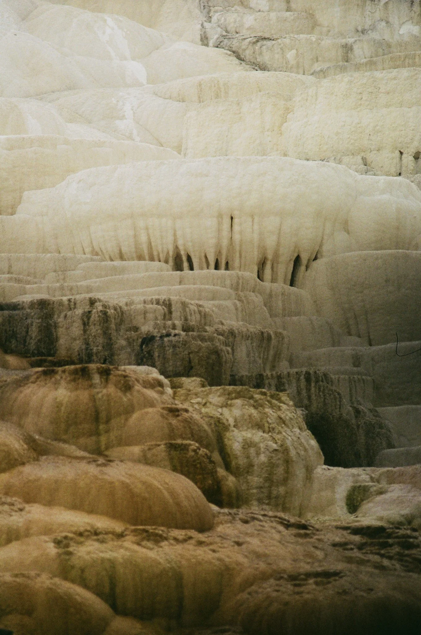 kodak_200_c_41_10763_135101_300978_000001080032.jpg