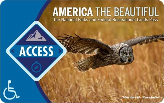 Friends,

Did you know that many of our kiddos qualify for a free National Parks Access Pass??

There is a $12 processing fee!
I got one for Finley in less than 10 days!

Head to: https://www.nps.gov/subjects/accessibility/interagency-access-pass.htm