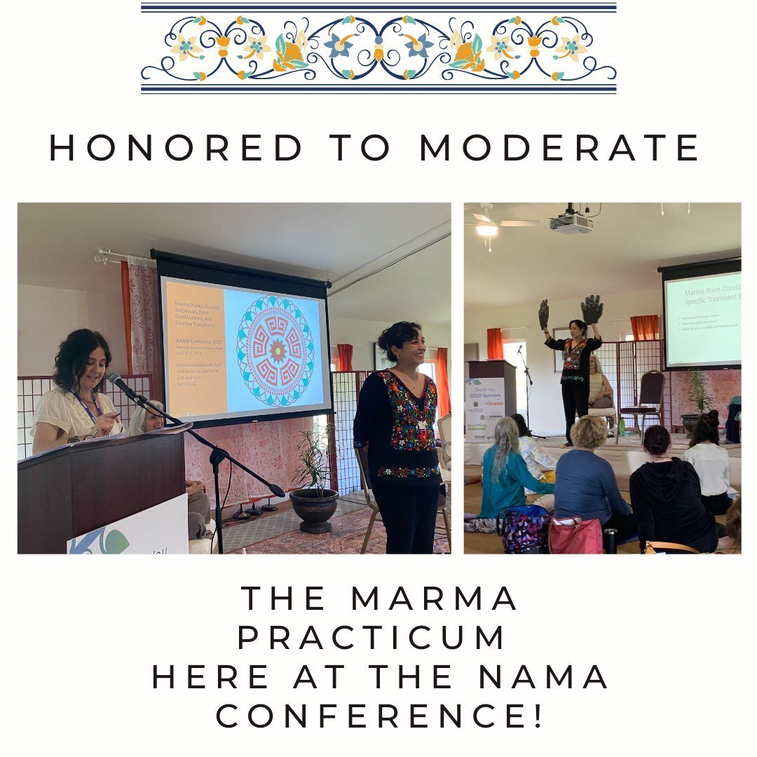Such an honor to moderate the Marma Practicum at the NAMA Ayurveda Conference at the Art of Living Retreat Center in Boone, NC - the amazing presenters taught us so much how to give and receive and even apply marma to ourselves during a Yoga practice