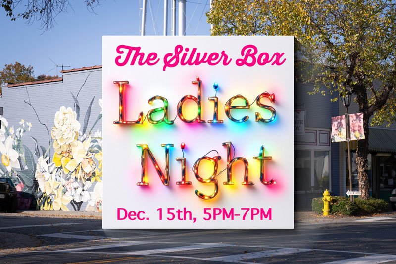 Ladies Night at The Silver Box