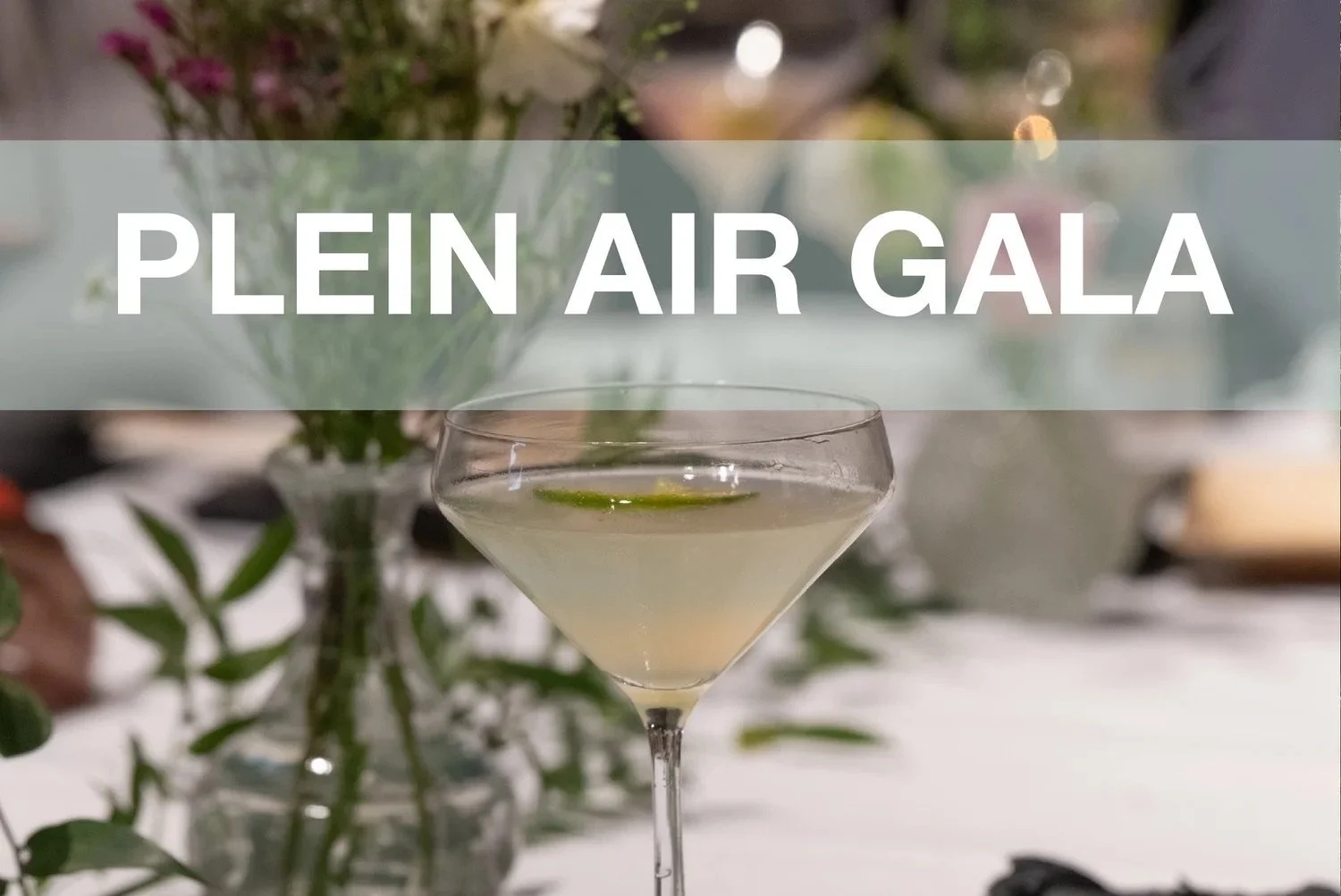 Gloucester Arts Festival Plein Air Gala