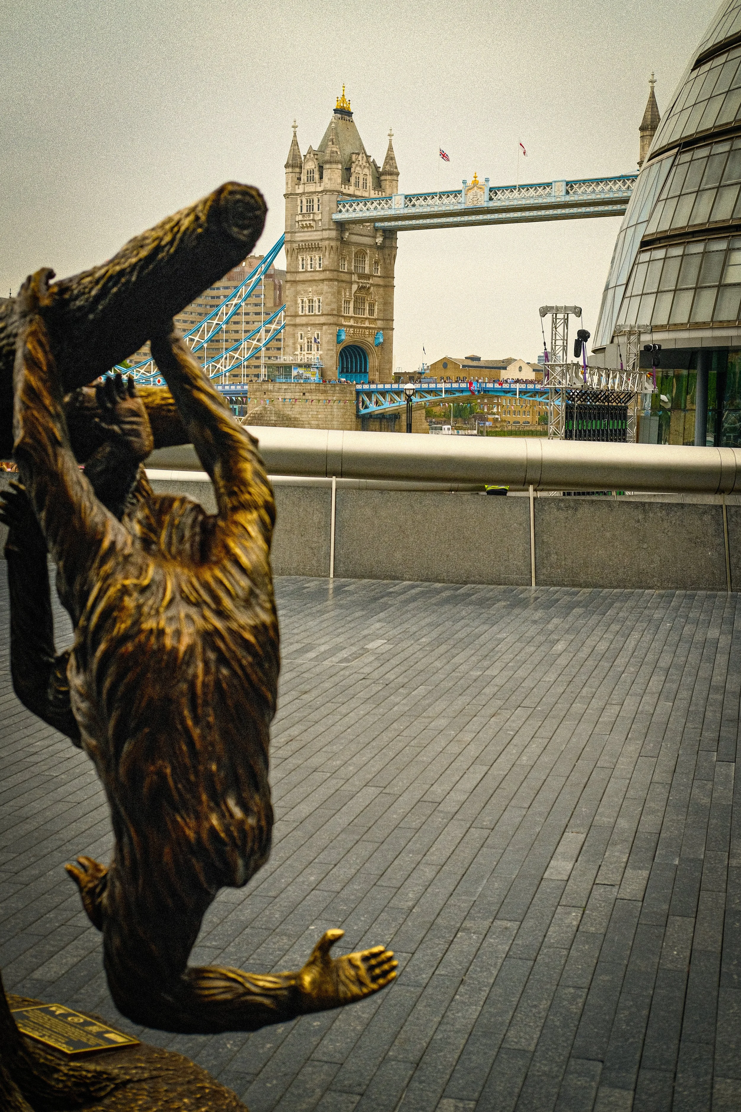 DSCF3402.jpg