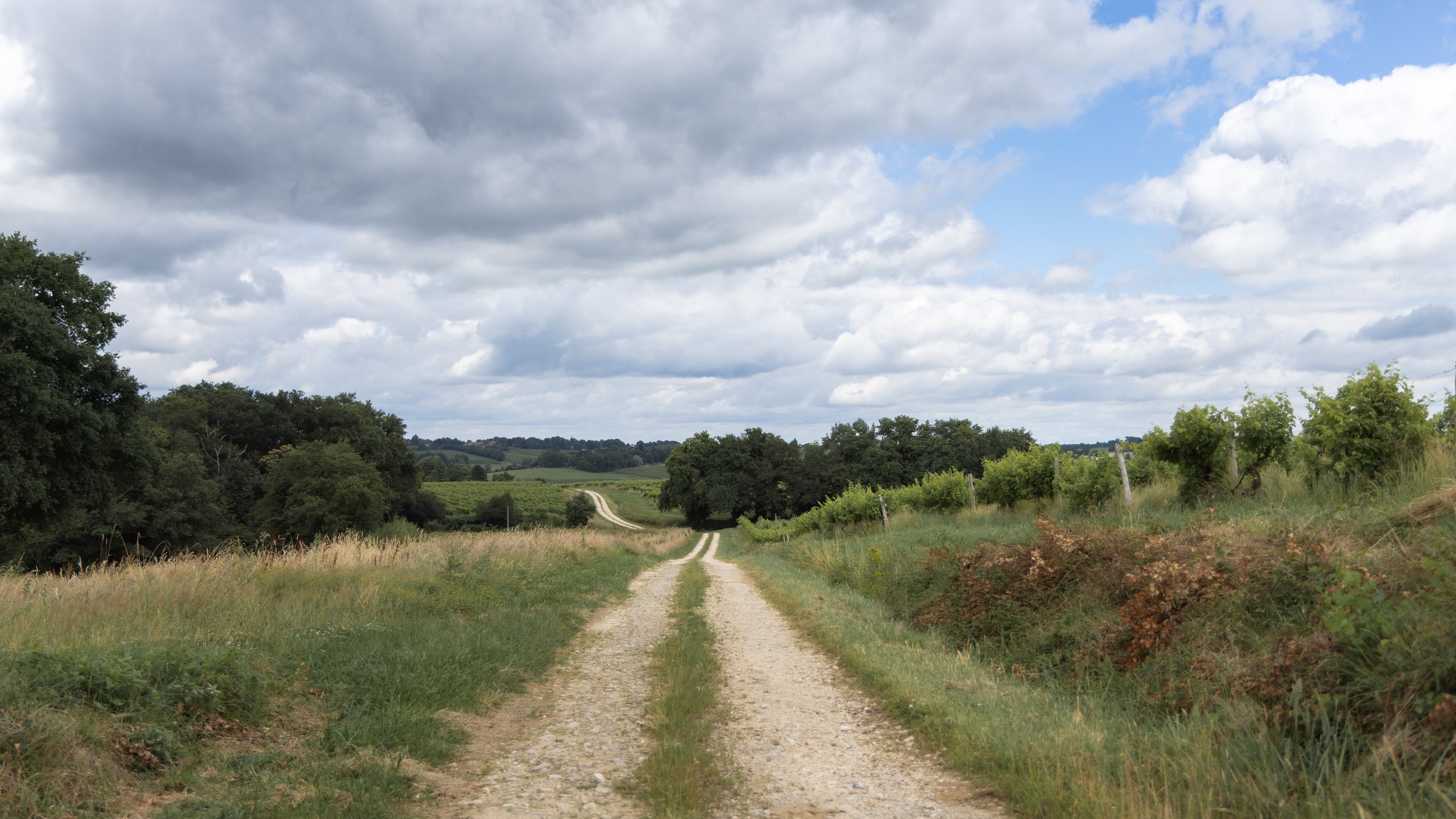 Nogaro-14.jpg