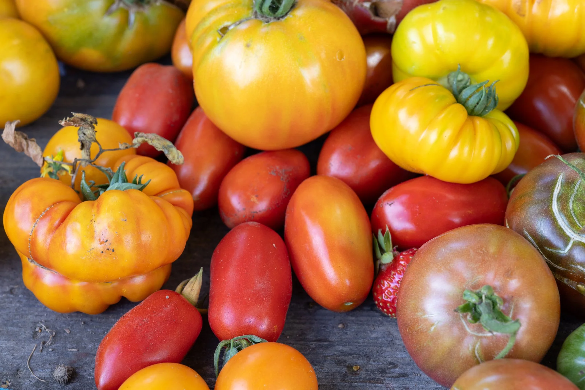 2025 tomatoes and one strawberry