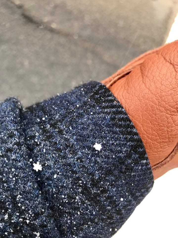 snow.jpeg