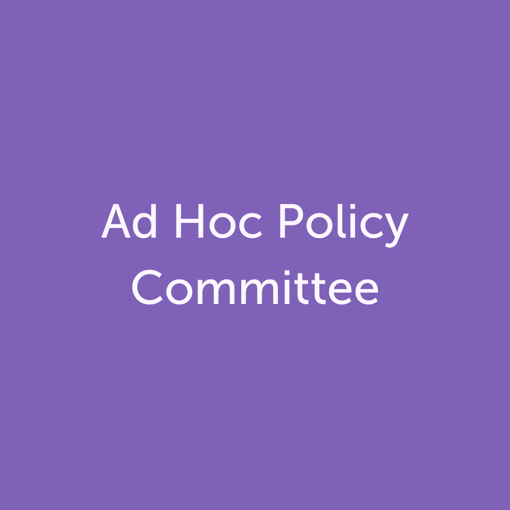Ad Hoc Policy Committee: October 12, 2023