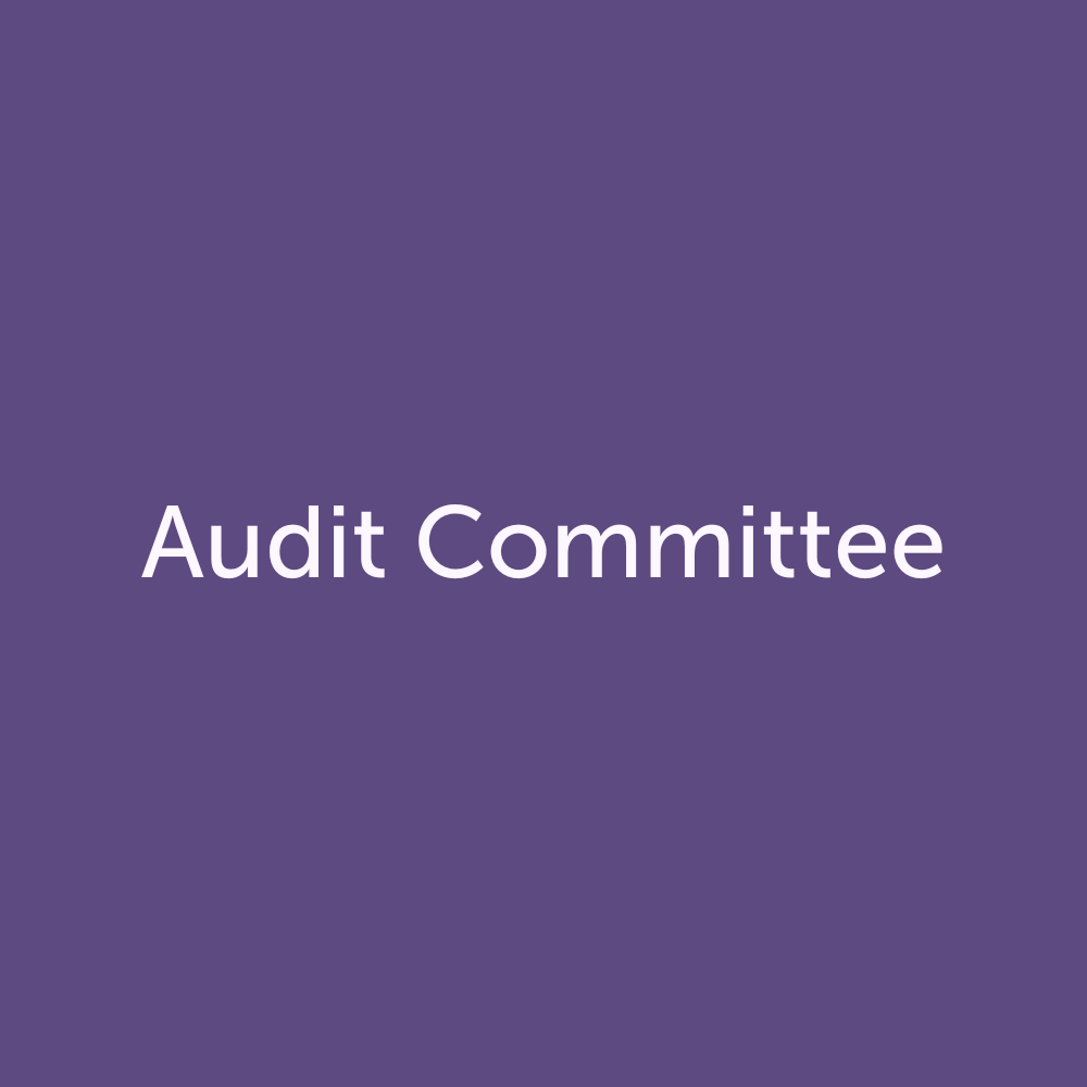 Audit Committee: October 25, 2023