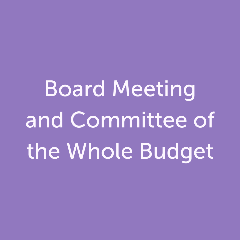 Committee of the Whole – Budget: February 20, 2024