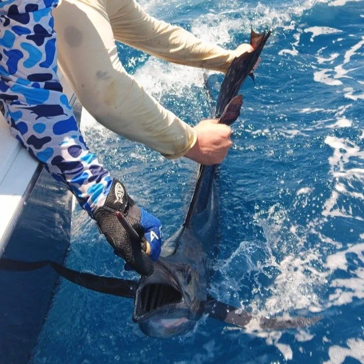 Sailfish are on Fire in Guanacaste Costa Rica! Come Catch Your Tails, on Fish Tale 2! FishTale2.com