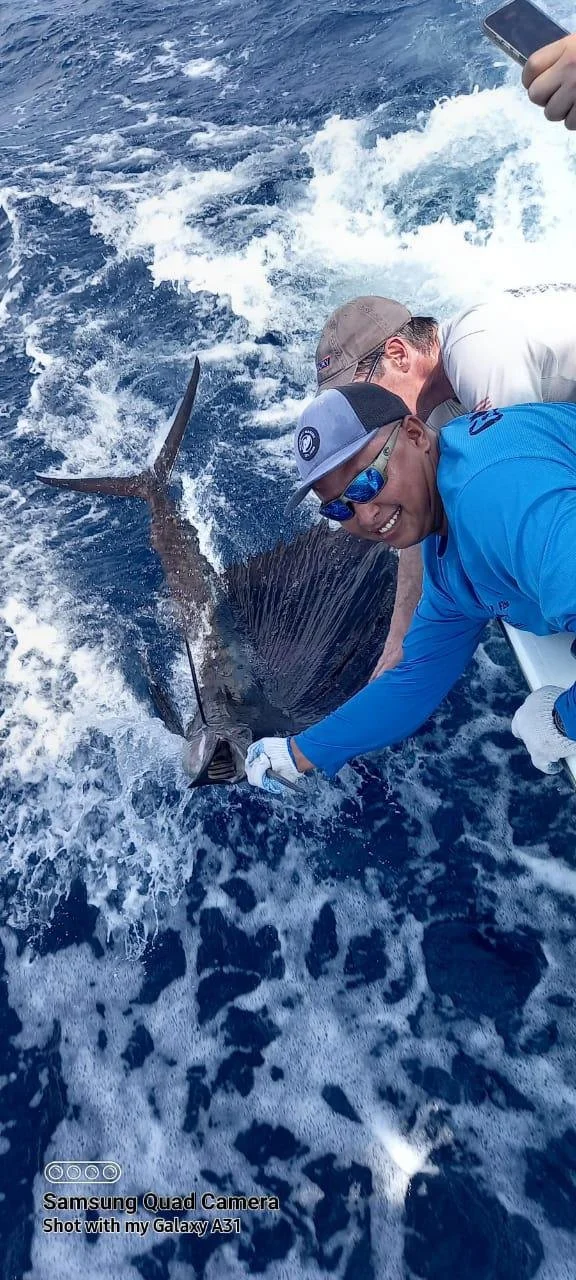 Large Sailfish caught on the Fish Tale 2.