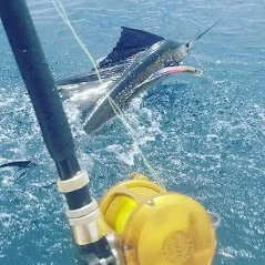 Marlin jumping on a penn 30 during offshore charter with Fish Tale 2 in Guanacaste Costa Rica