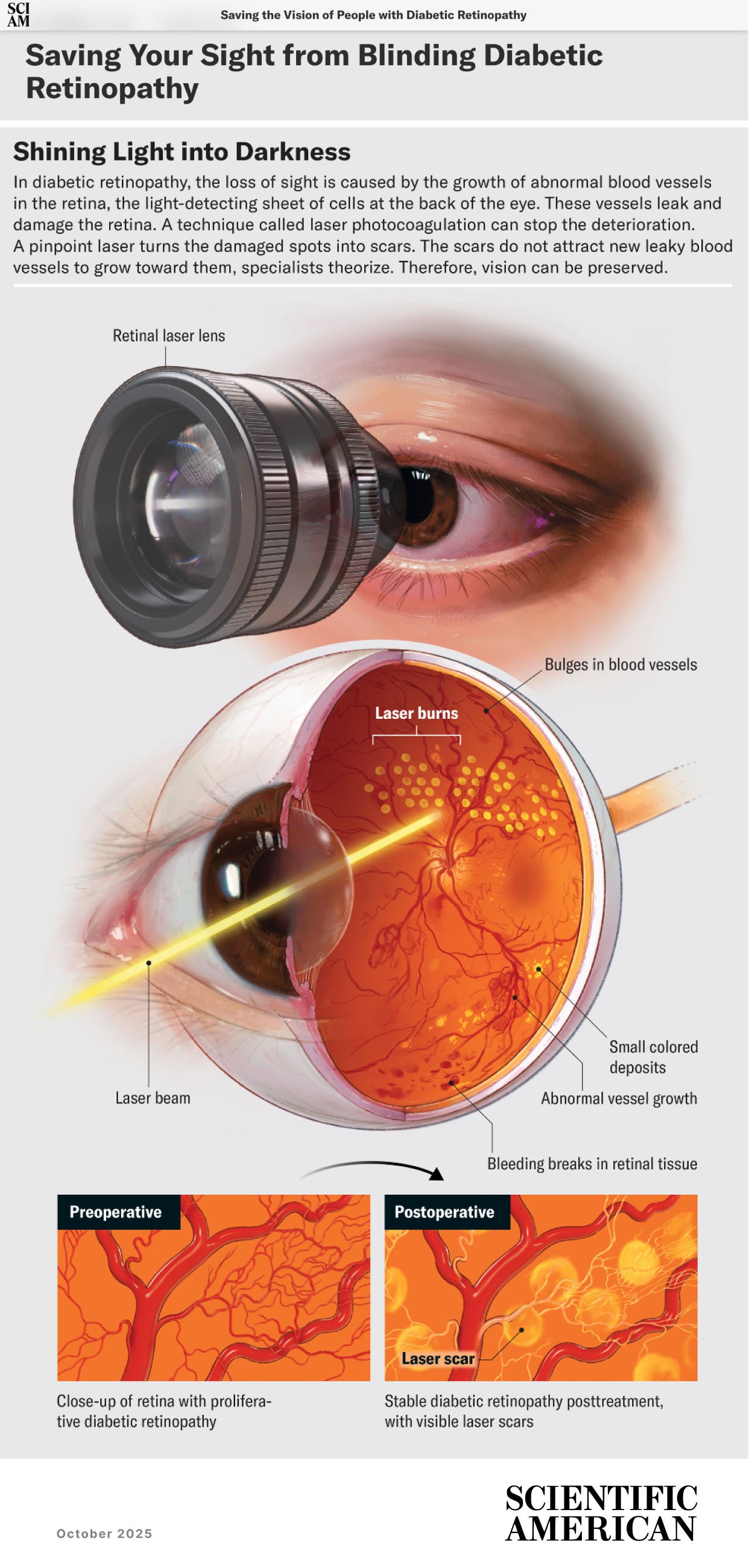 SciAm copy.jpg