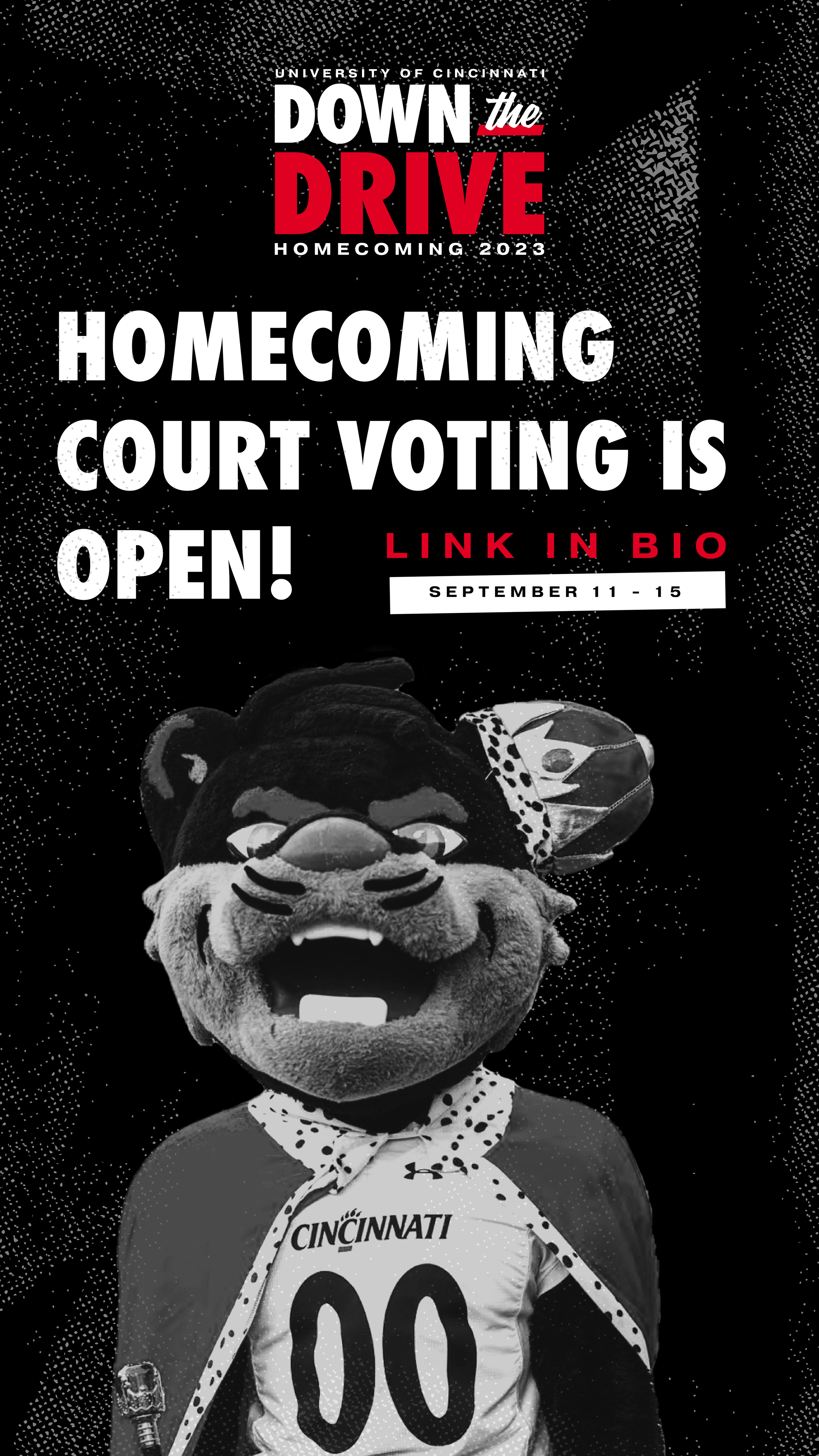 Homecoming Court_Top 20_POSTS_Top 20 Voting IG copy-24.png