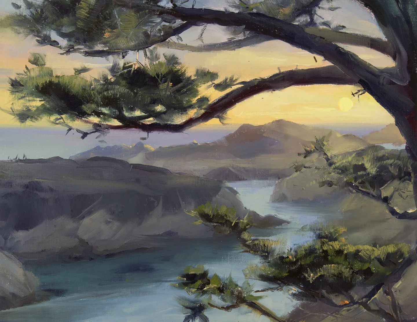 16x20_BigSur_ChinaCovePines.jpg