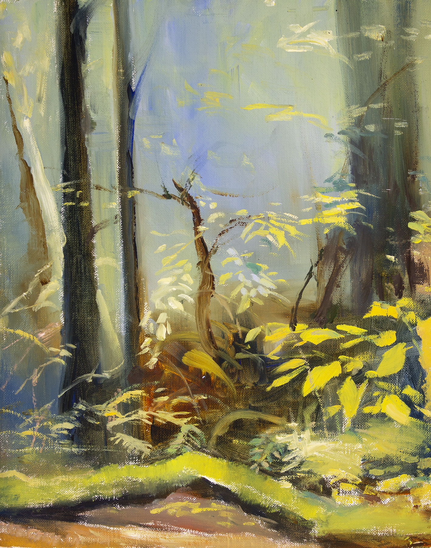 10x8_MuirWoods_MossyLogOnRedwoodCreek.png