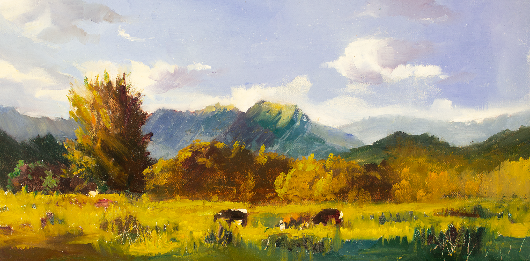8x16_BigSur_CowsAgainstMountains.png