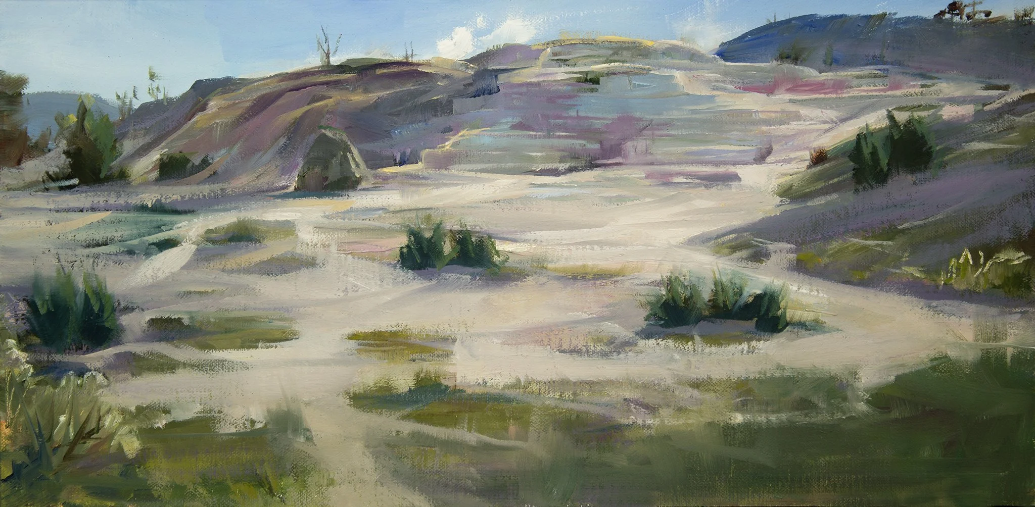 8x16_YS_MammothPaletteSpringMorning.jpg