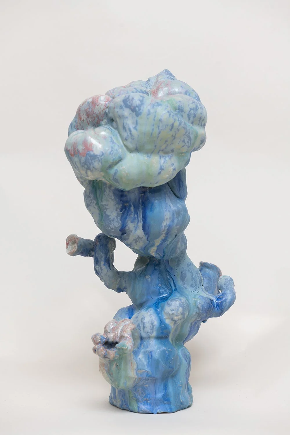 Blue Anemone, 2025
