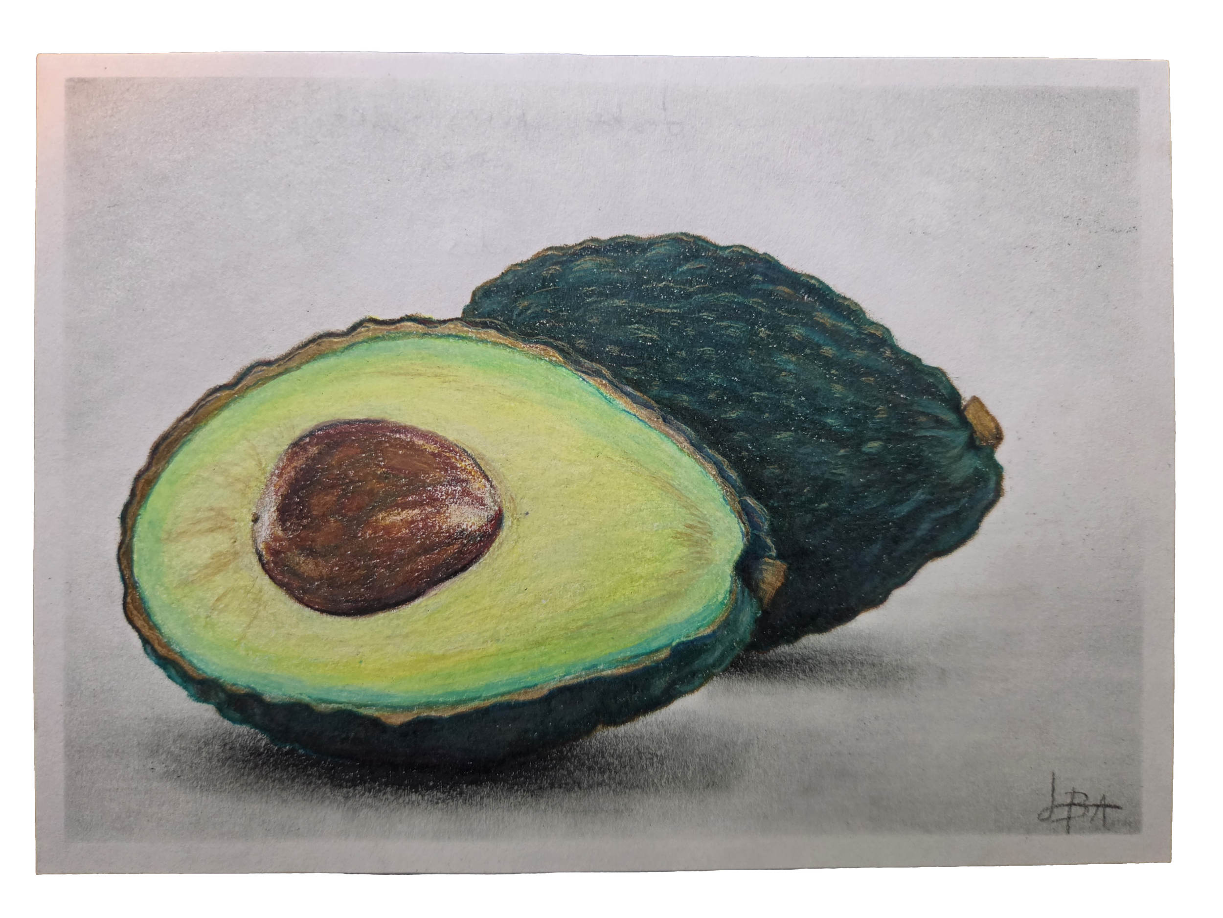 avocado.png