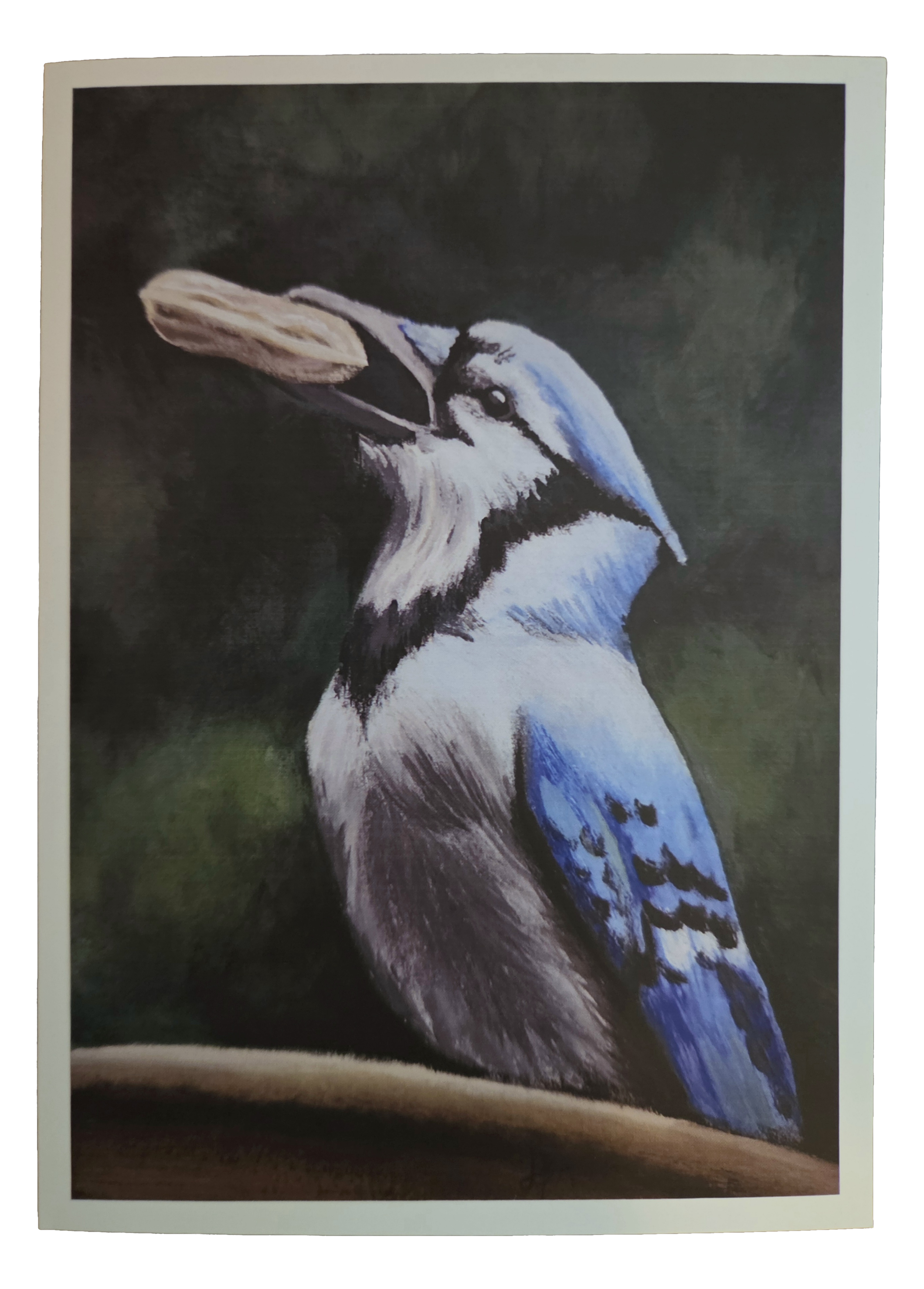 card1.png