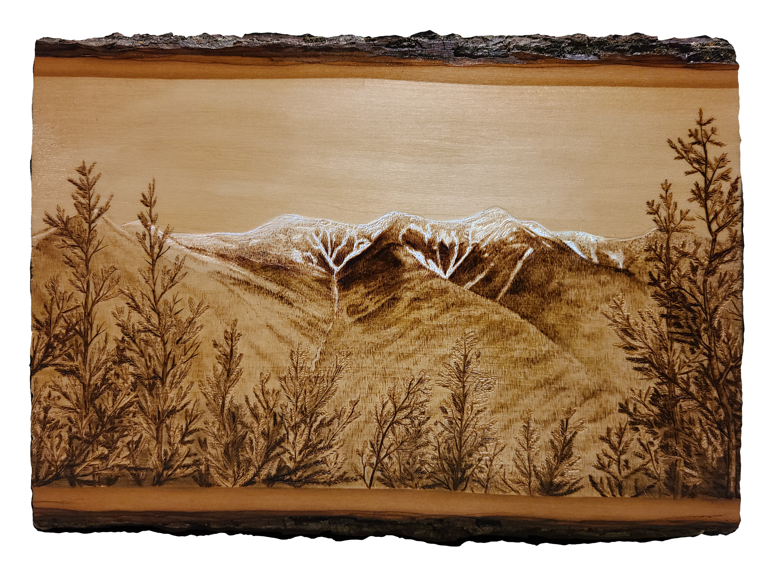 Mountain Scene | 7x11 | Pyrography/Stain on Basswood