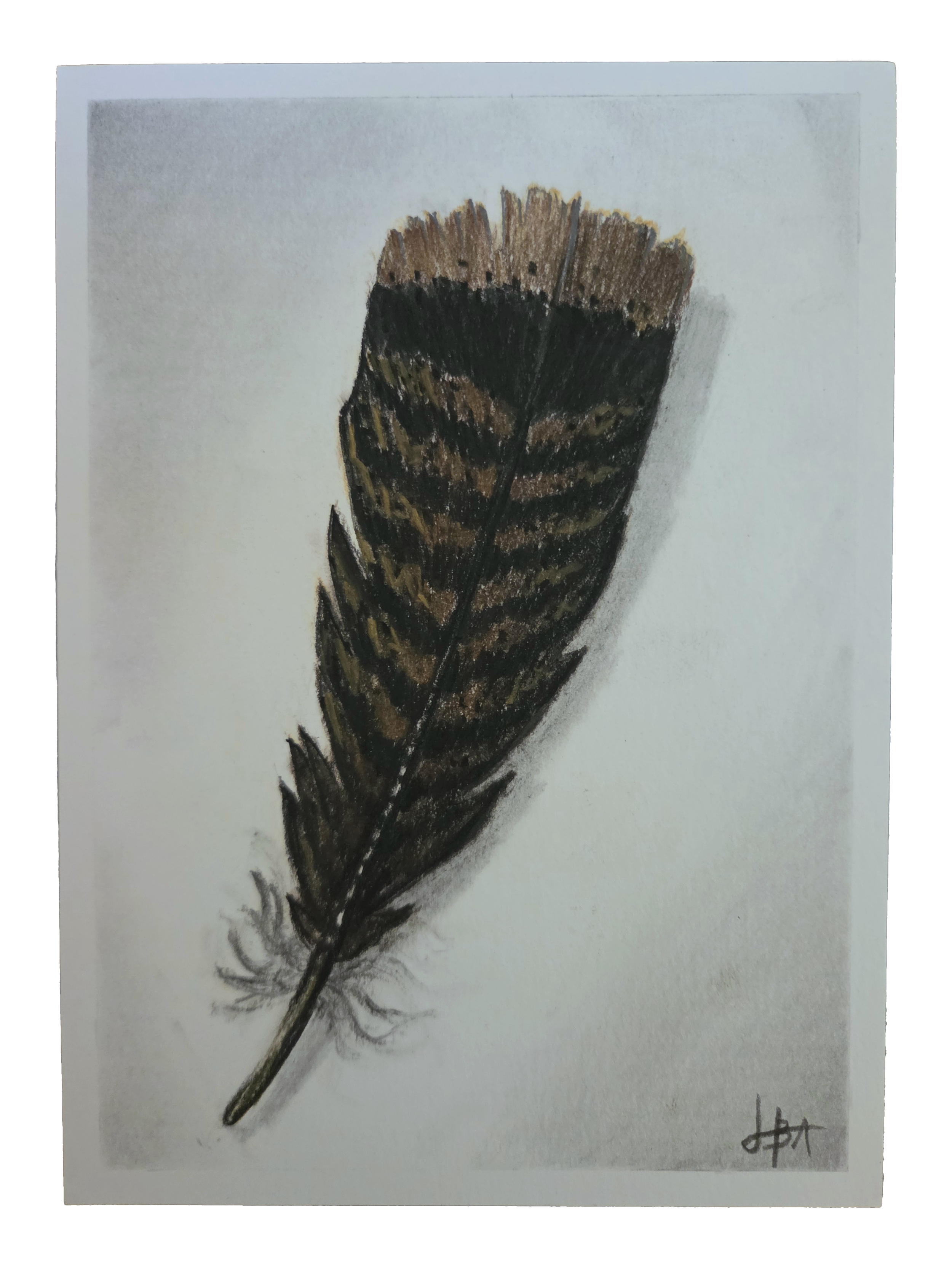 feather.png