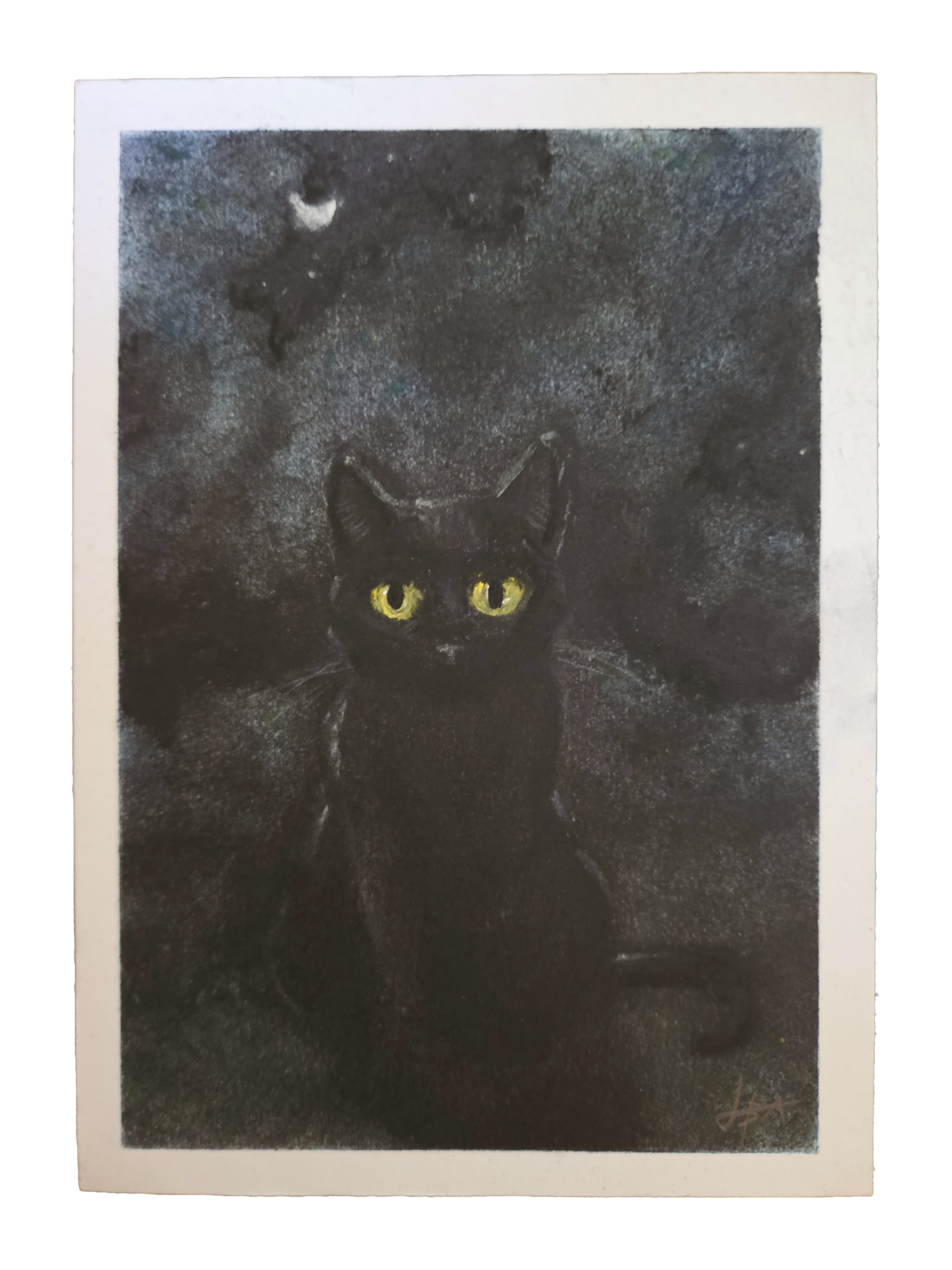 cat.png