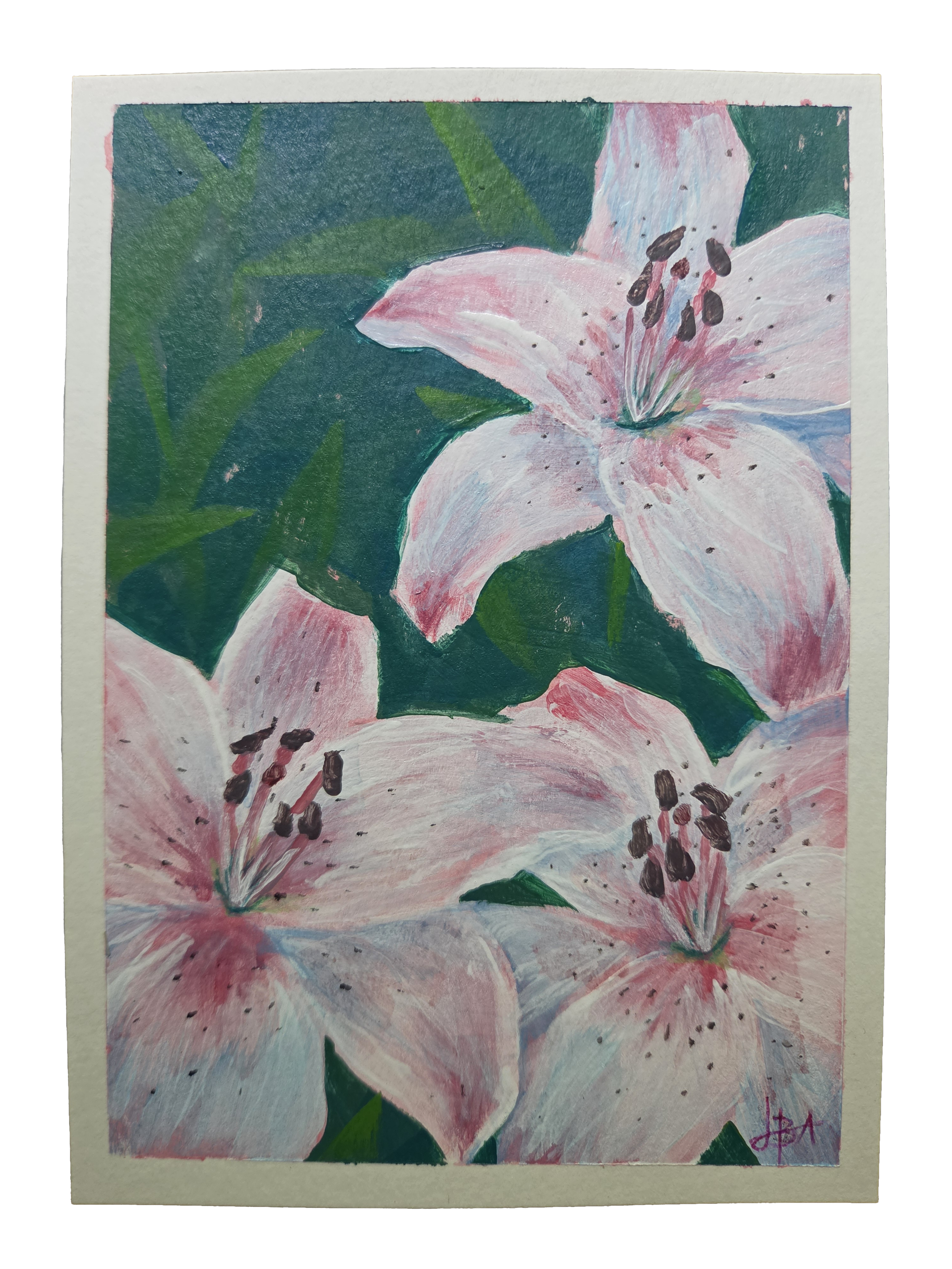 lilyacrylic.png