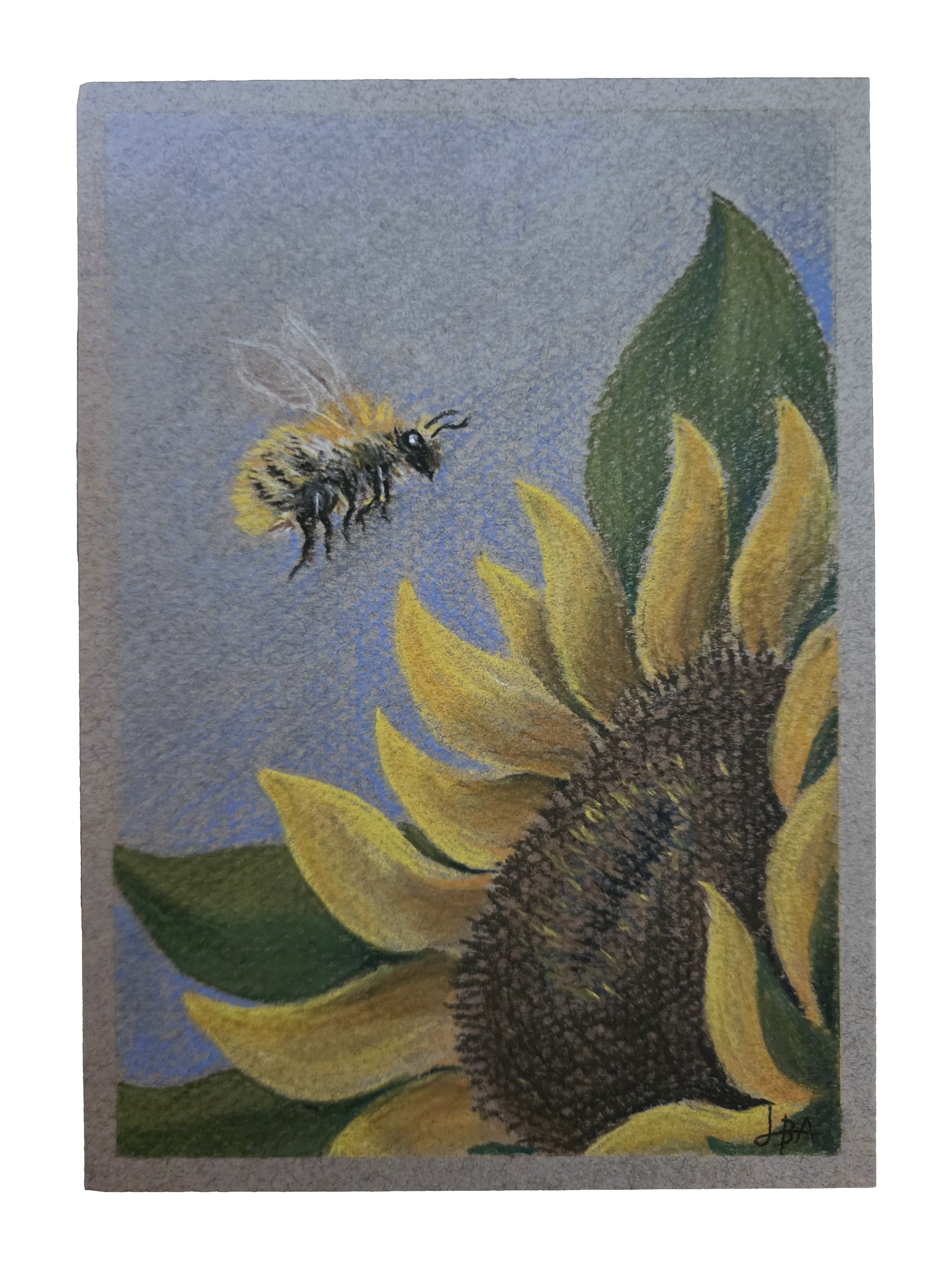 Bumblebee and Sunflower