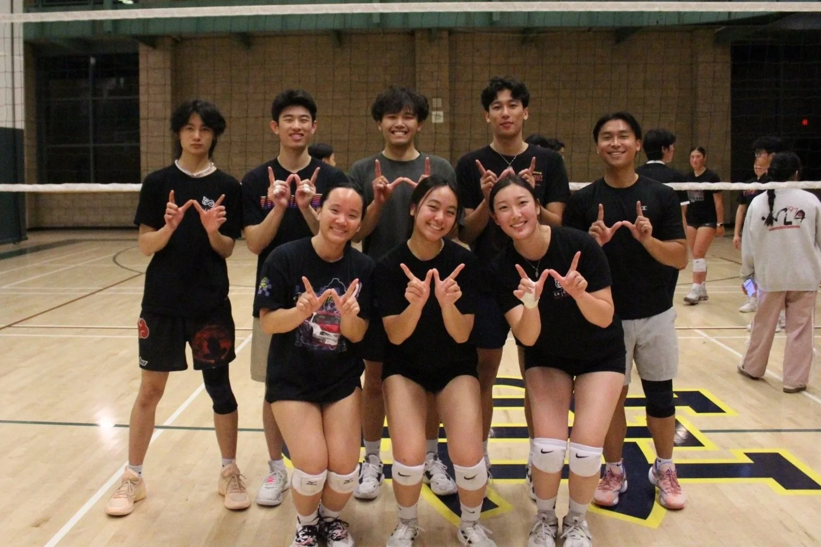 Co-Ed Volleyball
