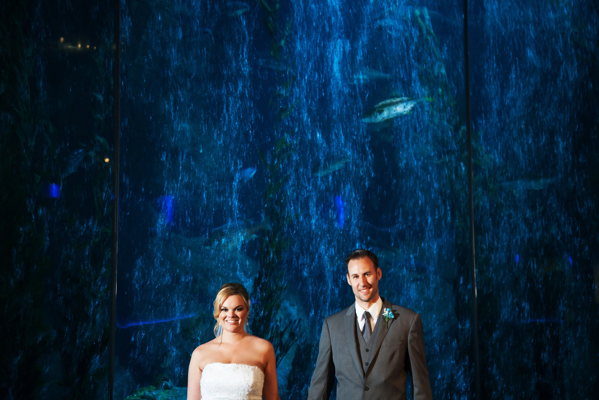 Aquarium of the Pacific Wedding Photography | Troy + Stephanie