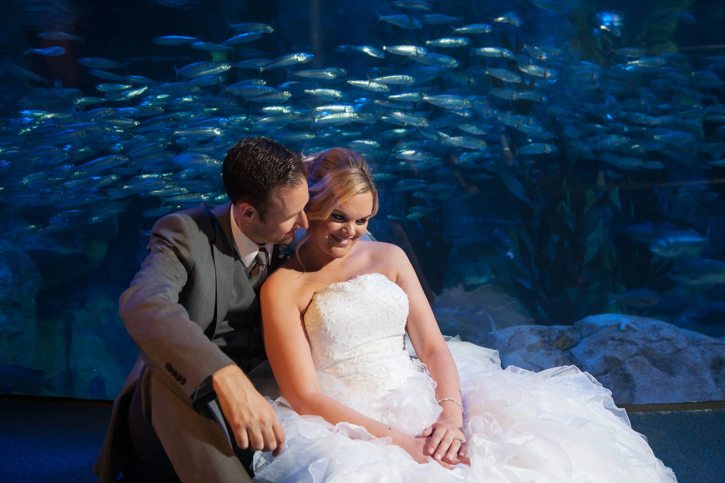 Aquarium of the Pacific Wedding Video | Troy + Stephanie