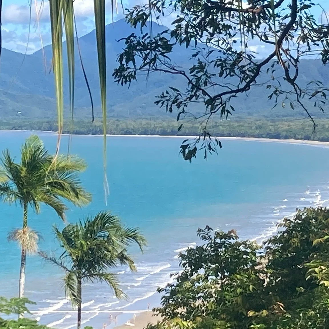 Over the past two months we have been travelling through Queensland and soaking up the tropical lifestyle. The warm weather has been beautiful although the humidity has definitely taken some getting used to.
One of the highlights of our Qld road trip