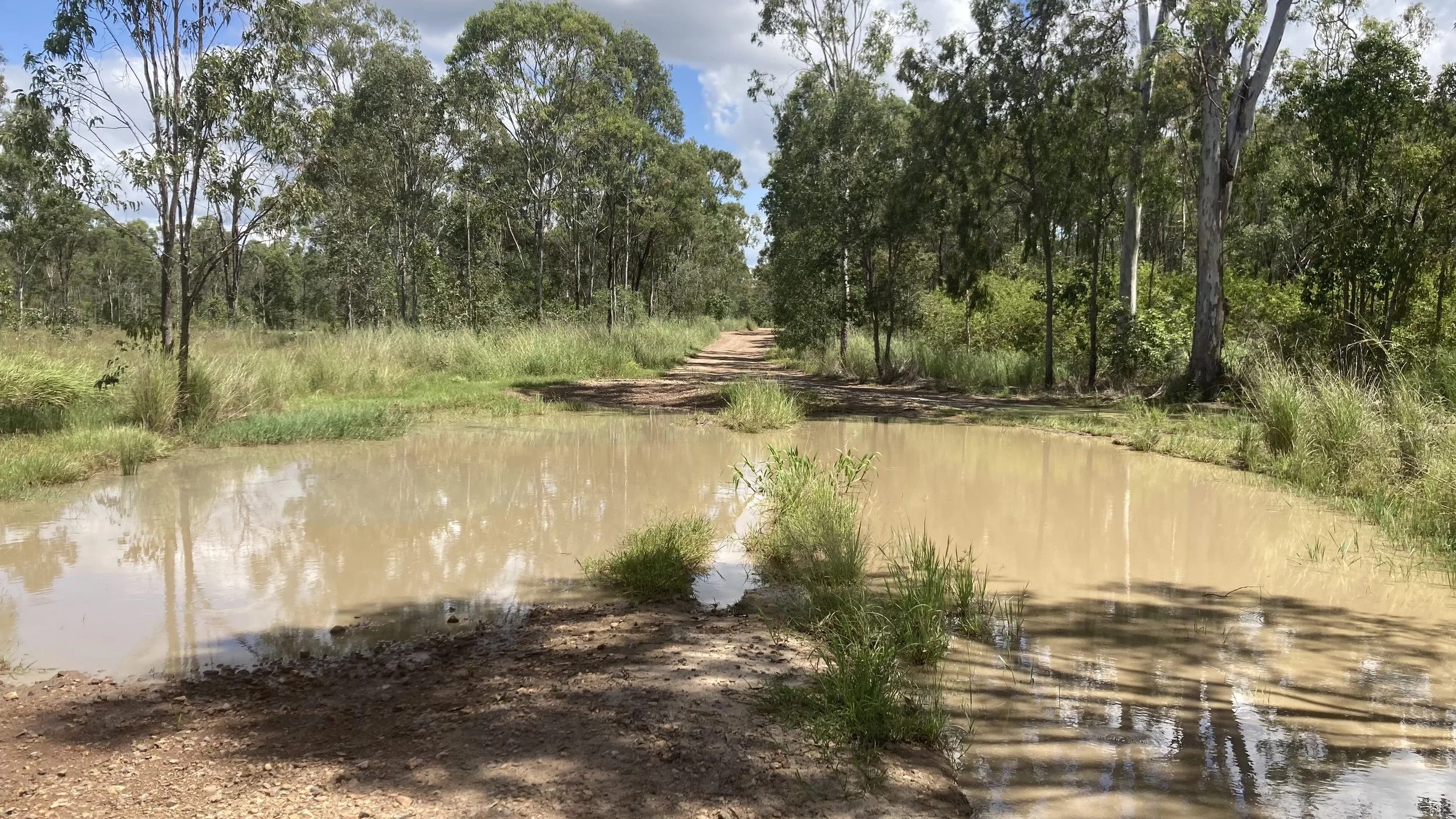 This puddle in Benaraby is where we nearly lost the truck! We tried to drive through and it was so deep that water went over the bonnet and we ended up in the middle leaning towards the passenger side. Thank goodness for the 6x6.