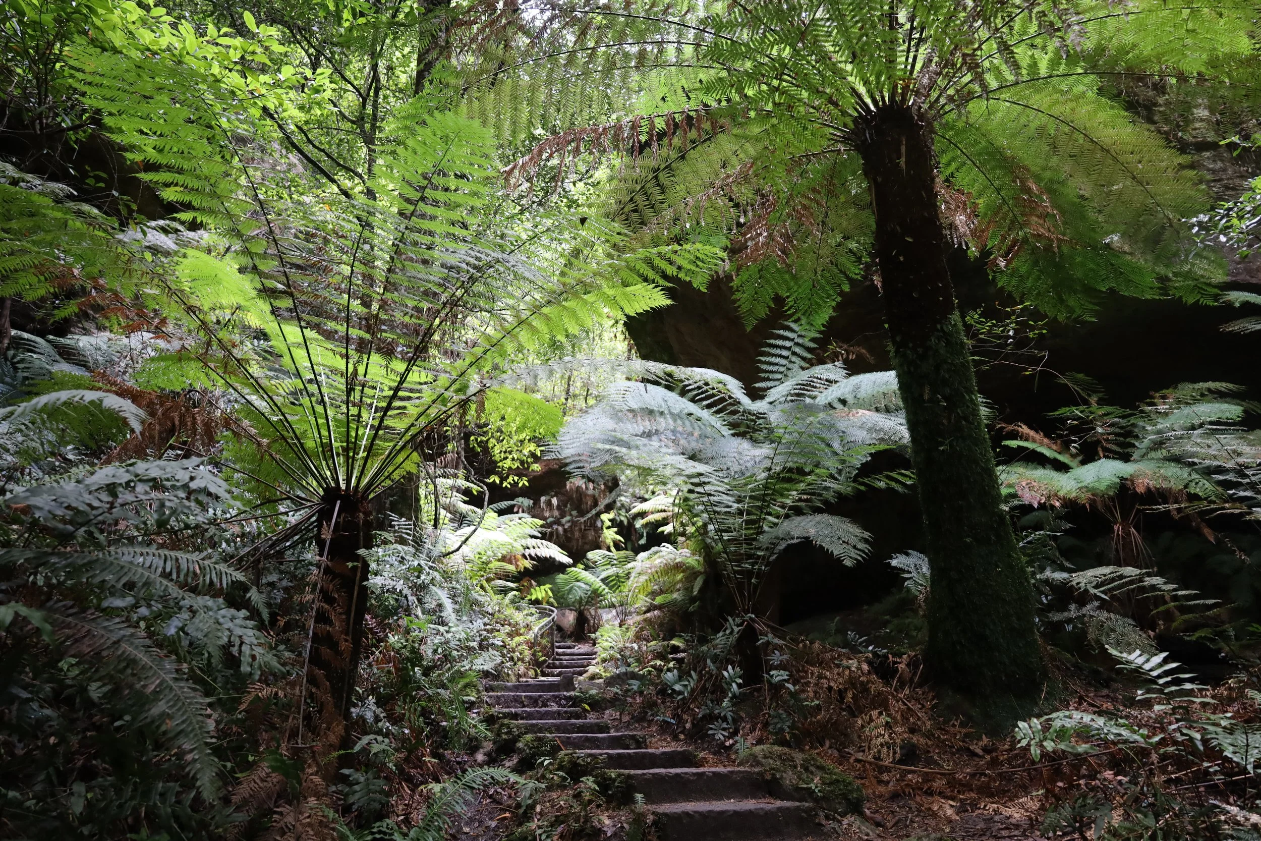 Grand Canyon 6 km walking trail