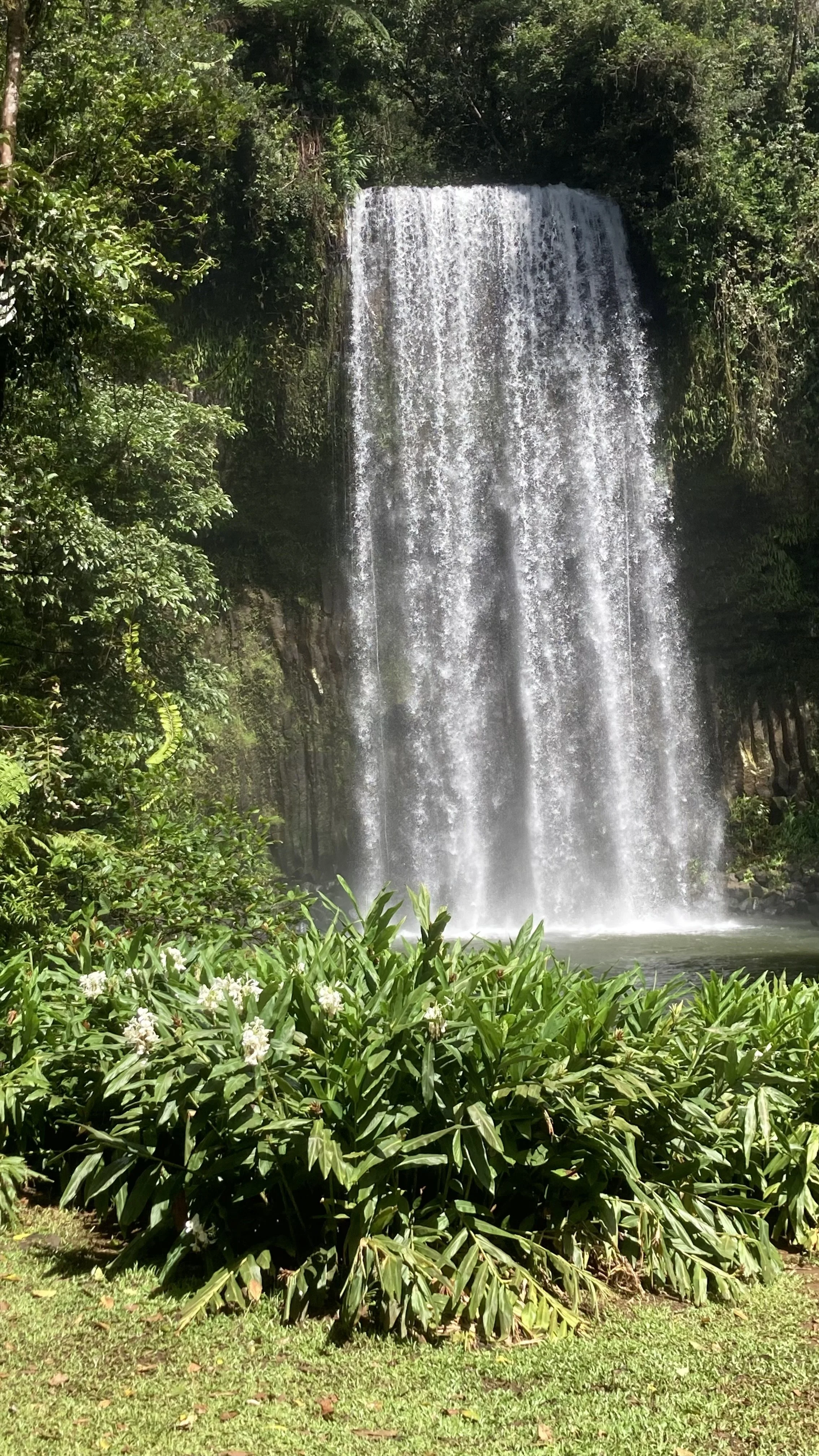 Millaa Millaa Falls