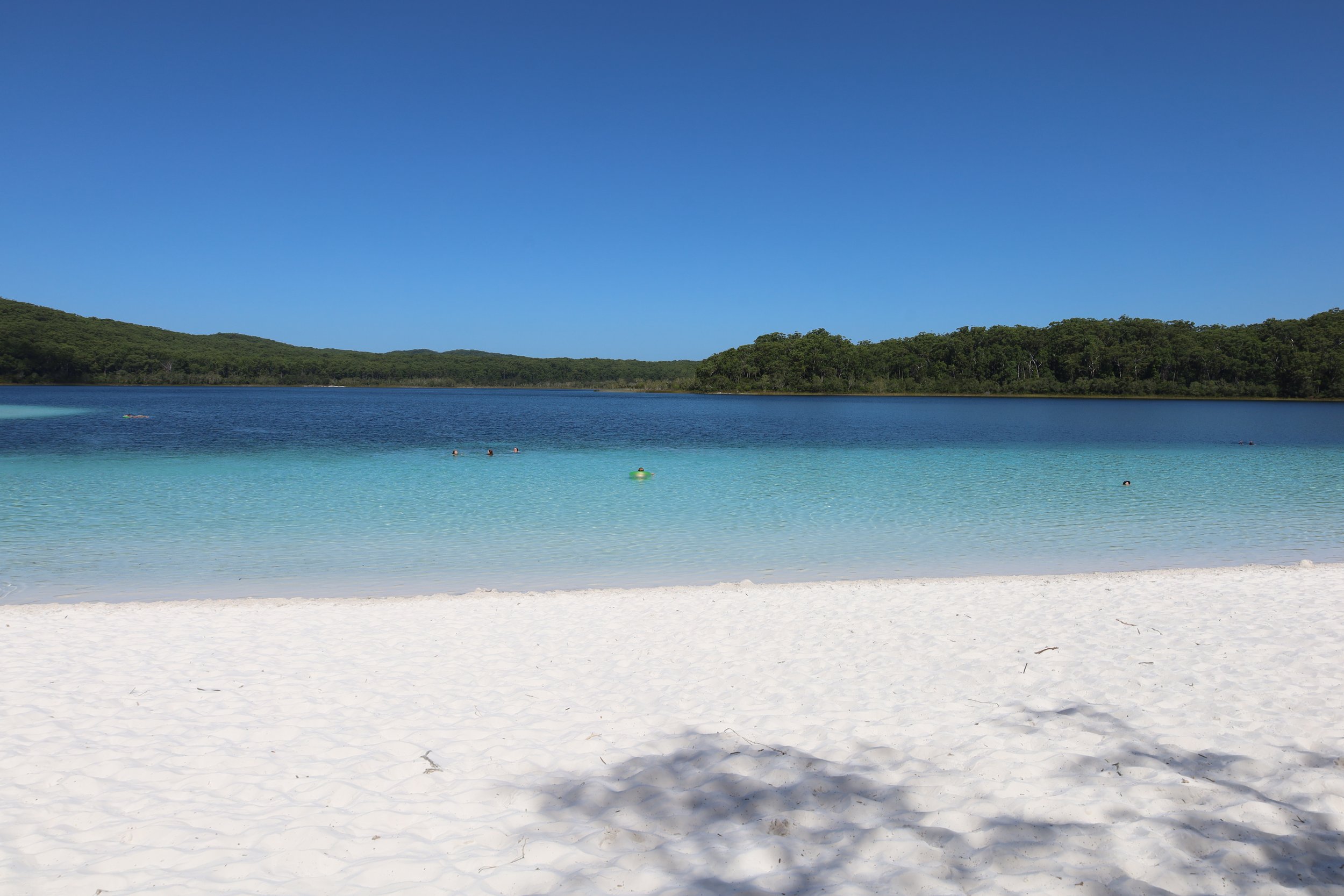 Spectacular blue waters of Lake McKenzie, a great place to cool off