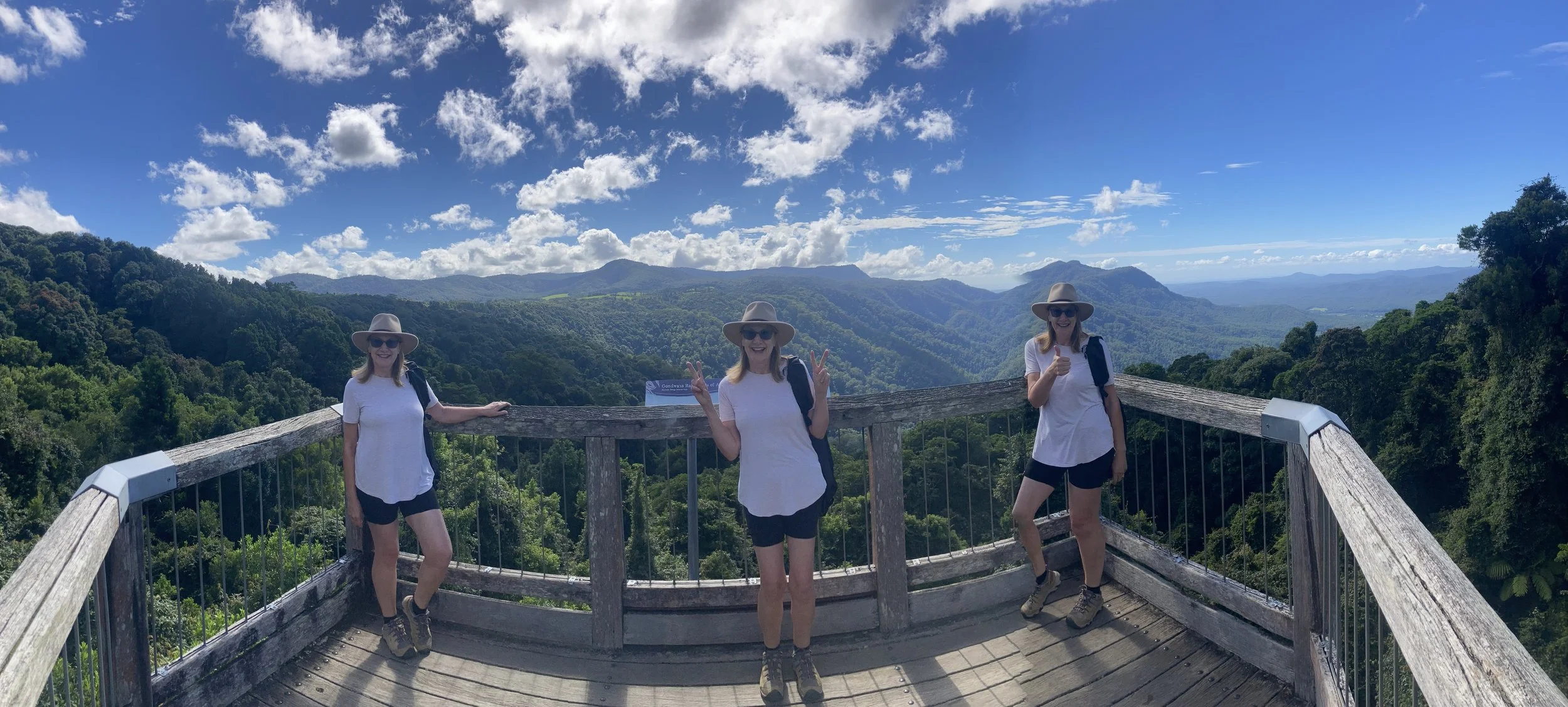 Dorrigo Rainforest walk