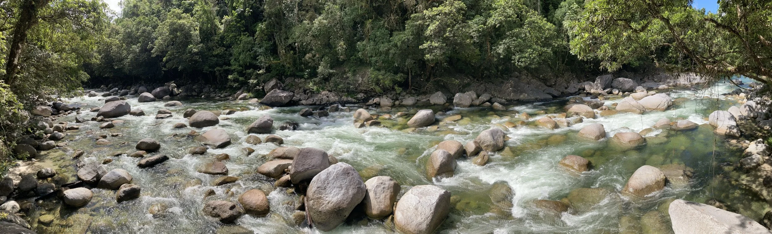 Mossman Gorge
