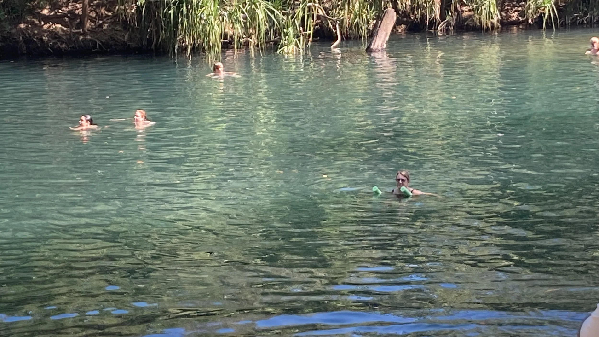 Berry Springs