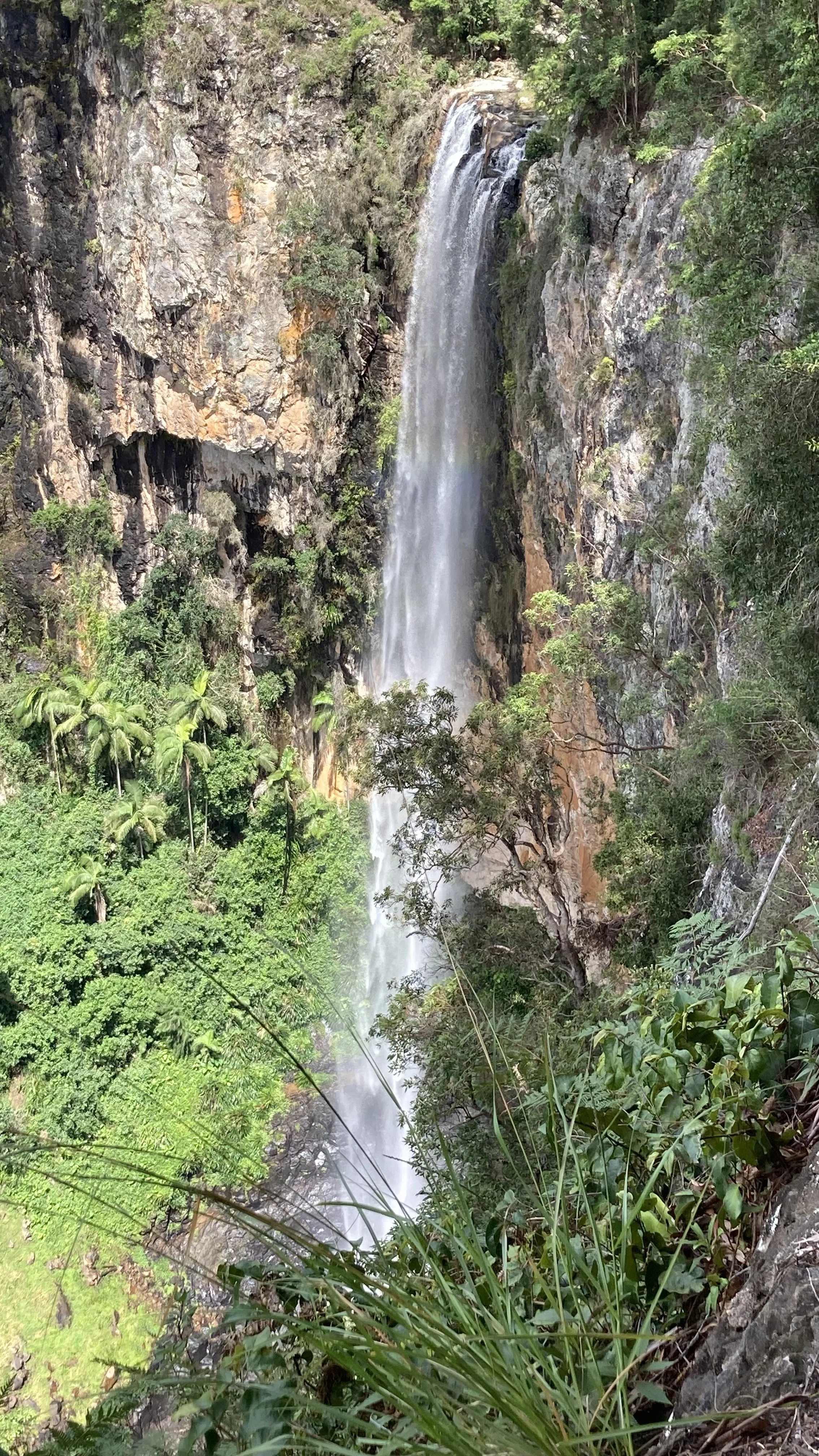 Purling Brook Falls
