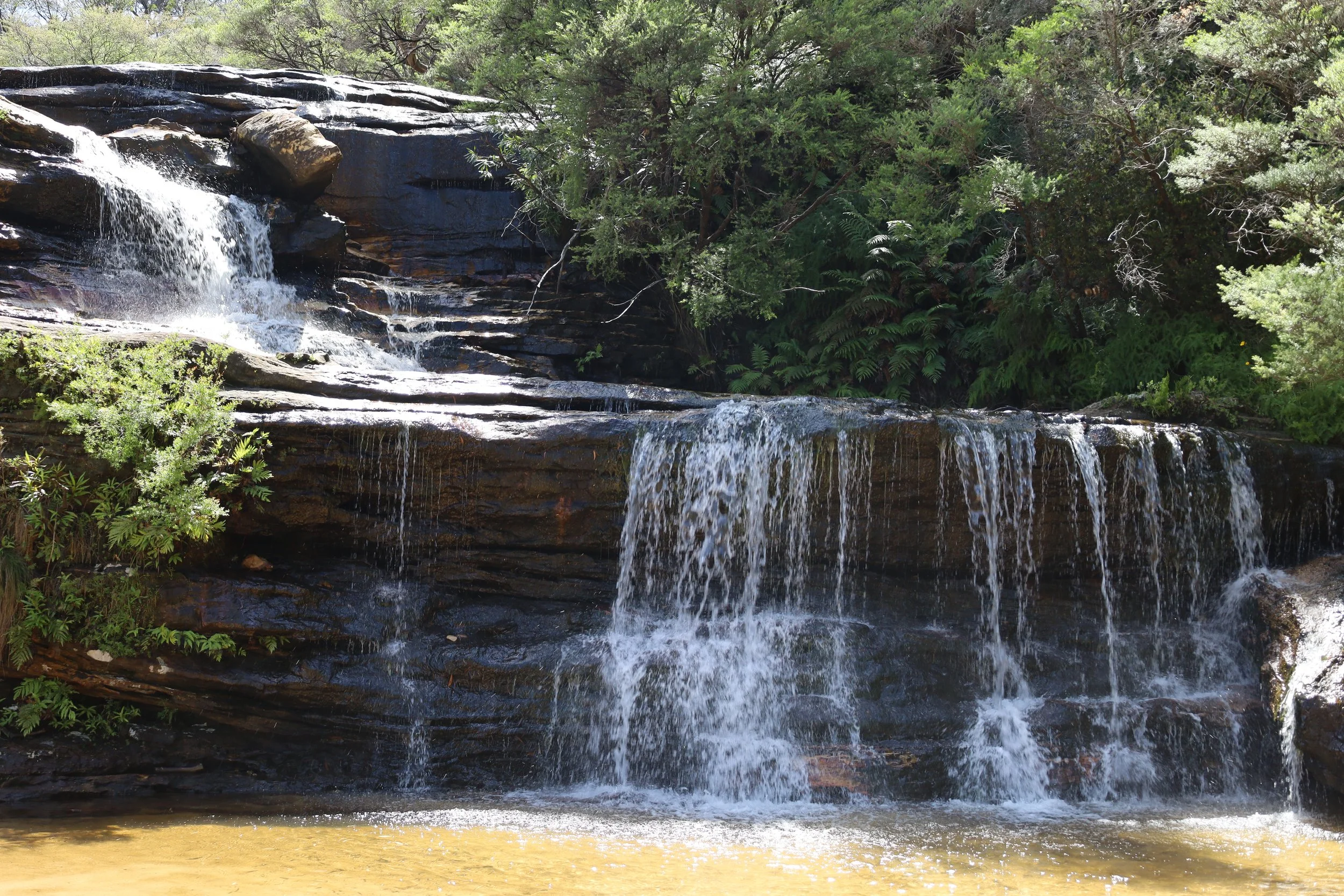 Wentworth Falls Blue Mountains