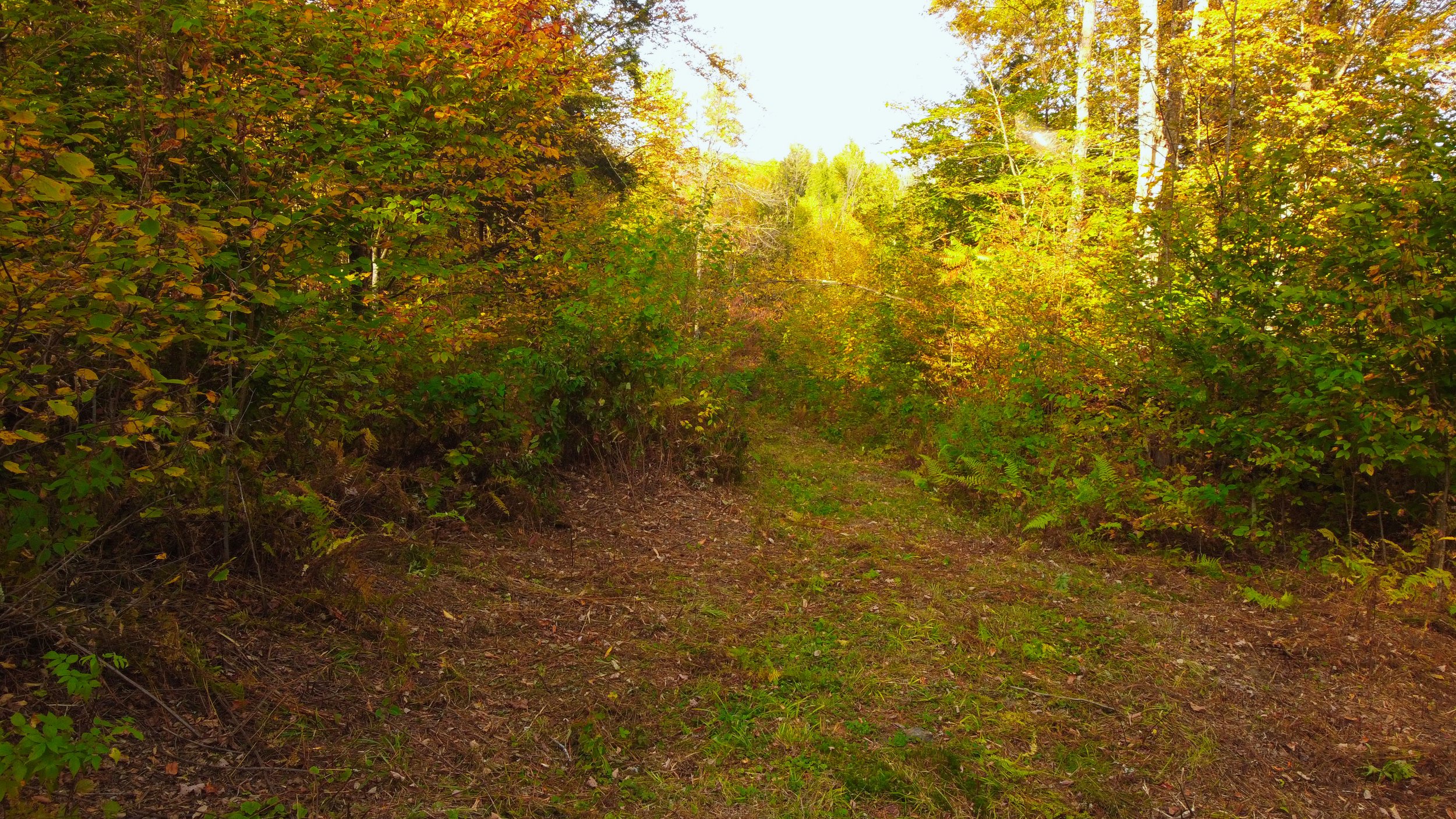 DJI_0930.jpg
